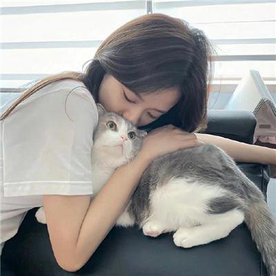 家裂 第二季